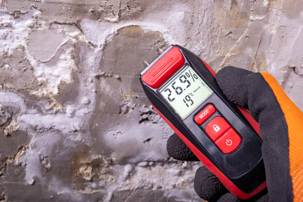 Best Mold Testing  in Litchfield, MI