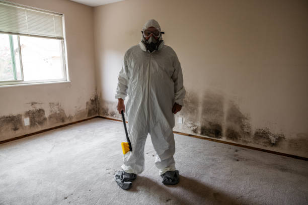 Crawl Space Mold Removal in Litchfield, MI